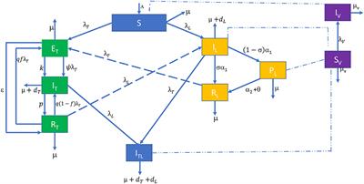Modeling visceral leishmaniasis and tuberculosis co-infection dynamics